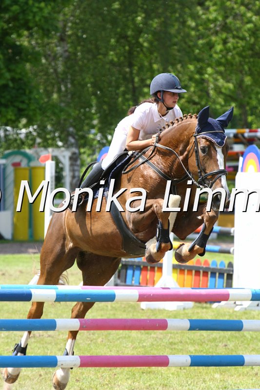 204M3758_Galmour Girl_Spring_L.JPG